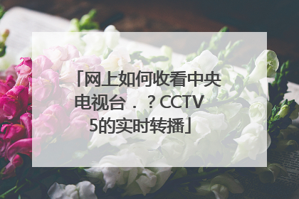 网上如何收看中央电视台．？CCTV5的实时转播