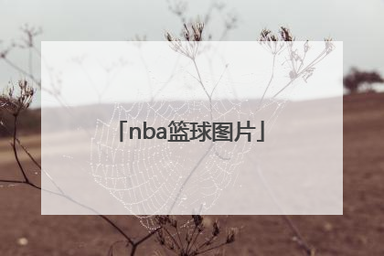 「nba篮球图片」nba篮球图片头像